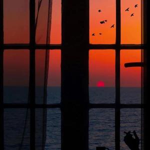 91麻豆精品91久久久ios版
